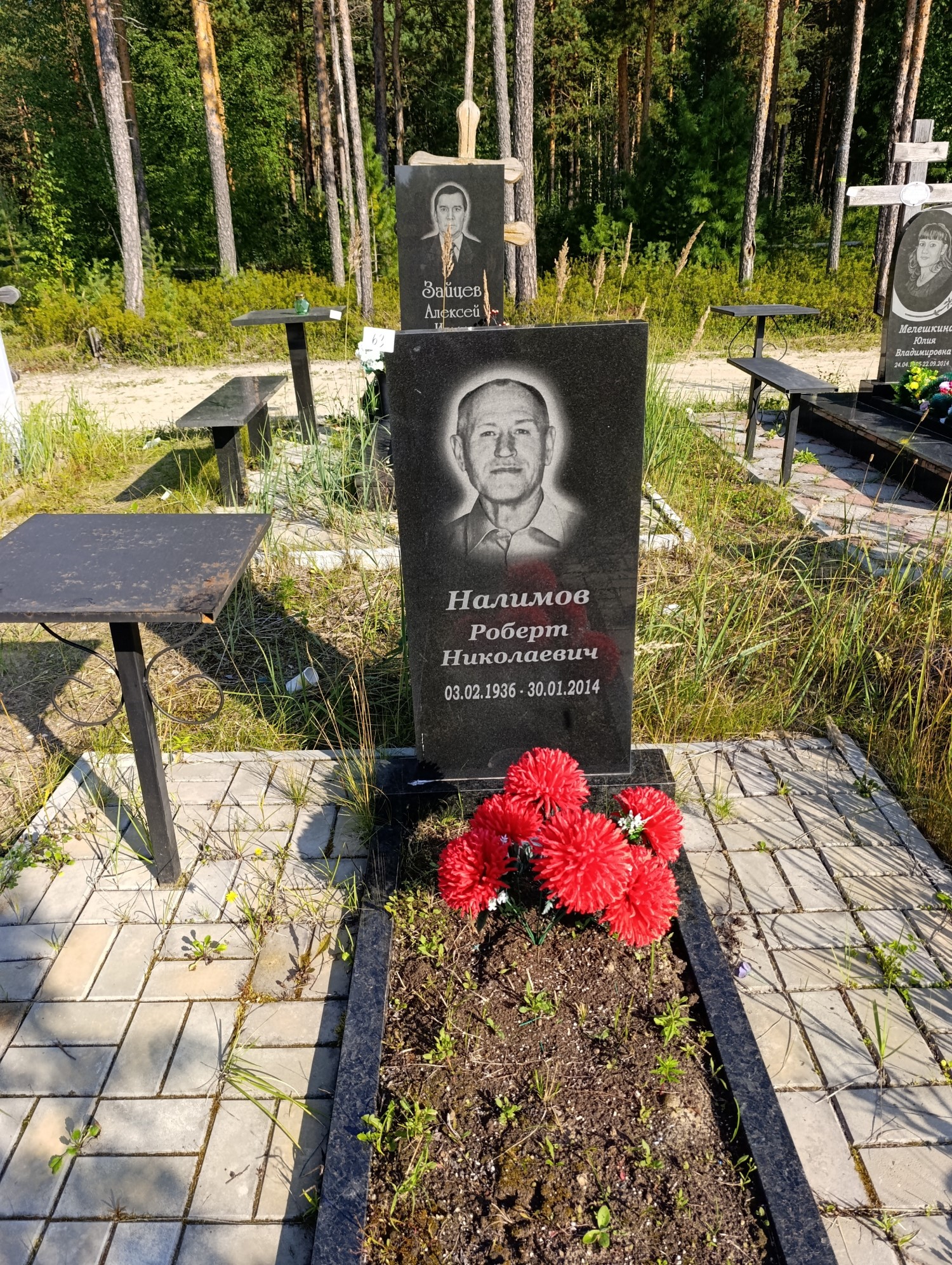Налимов Роберт Николаевич