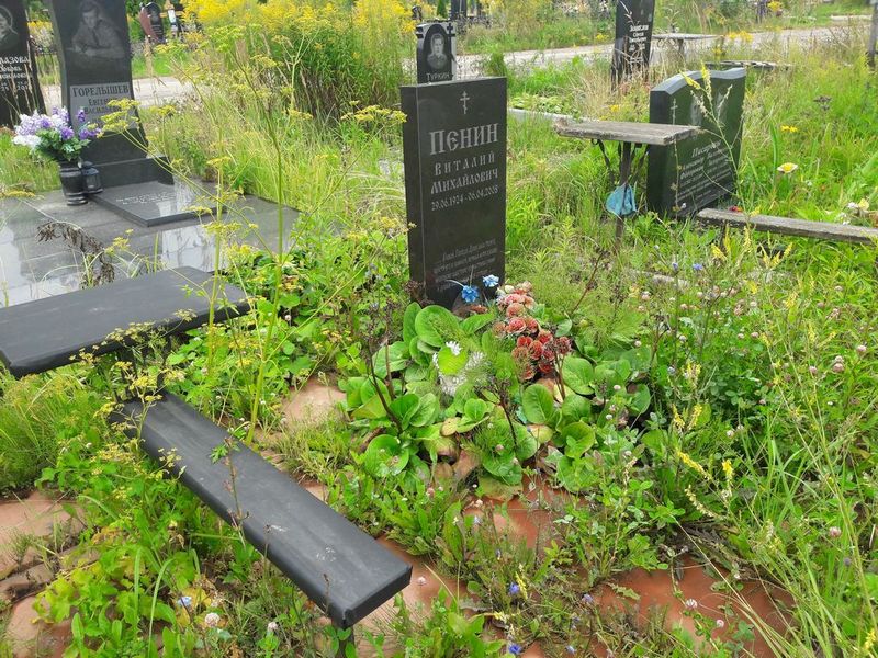 Пенин Виталий Михайлович