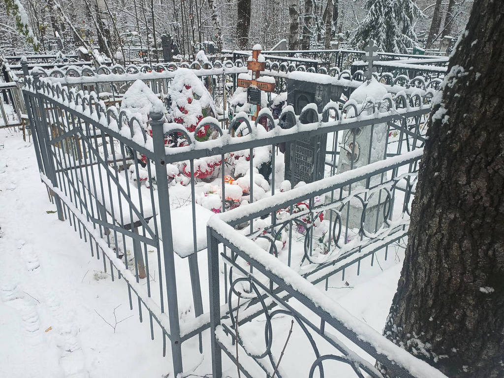 Сафронов Сергей Николаевич