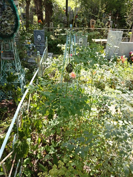 Полякова Мария Семёновна