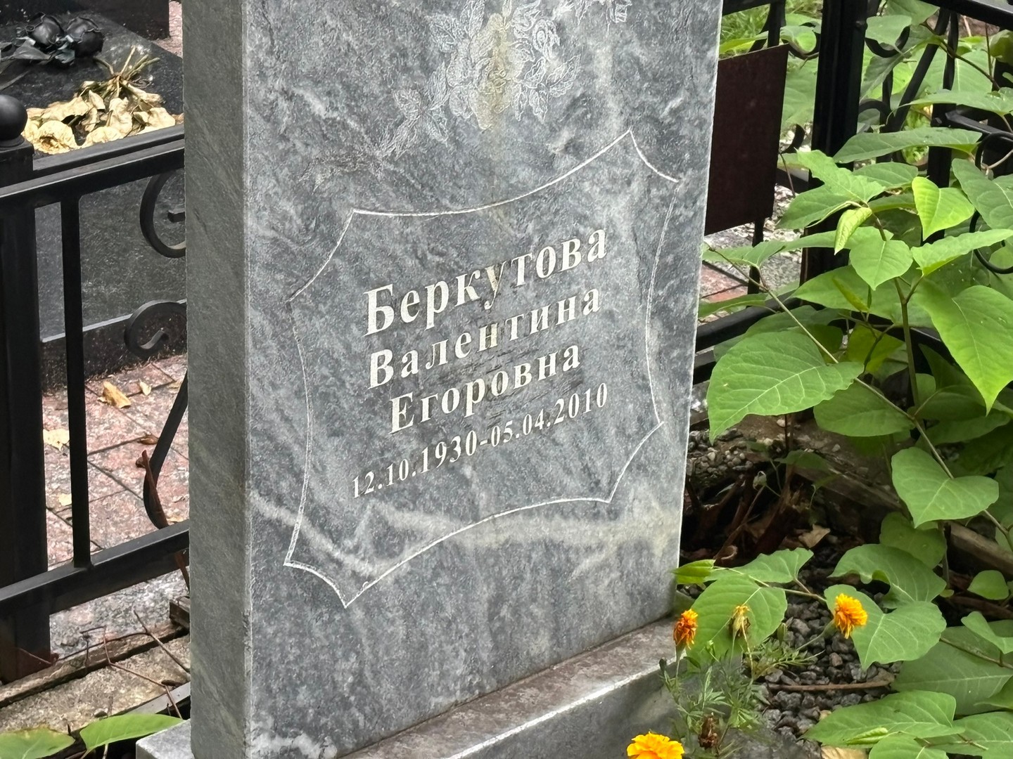 Беркутова