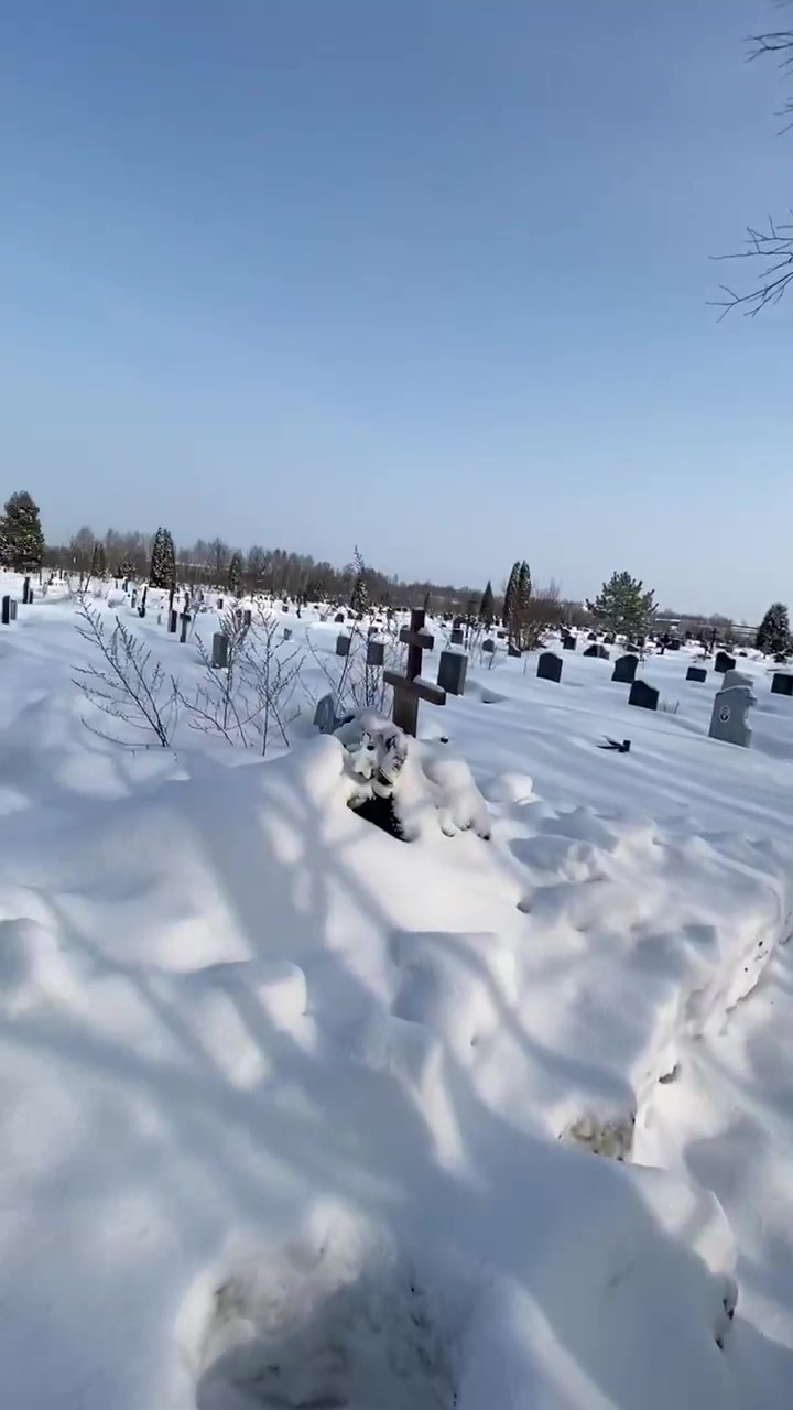 Вишнякова