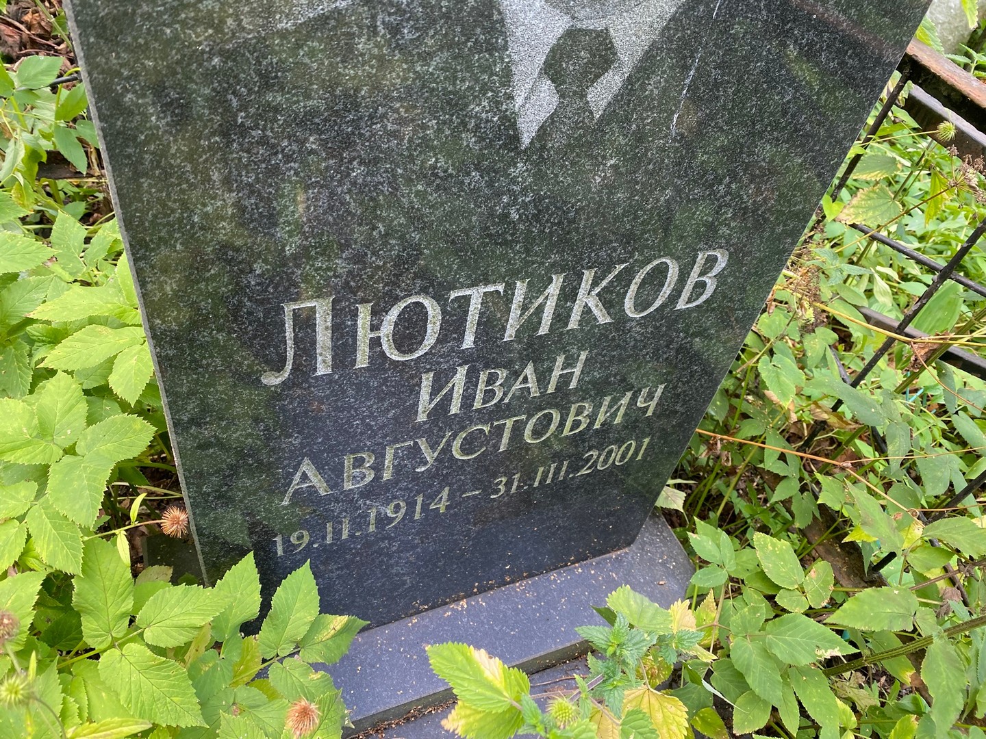 Лютиков