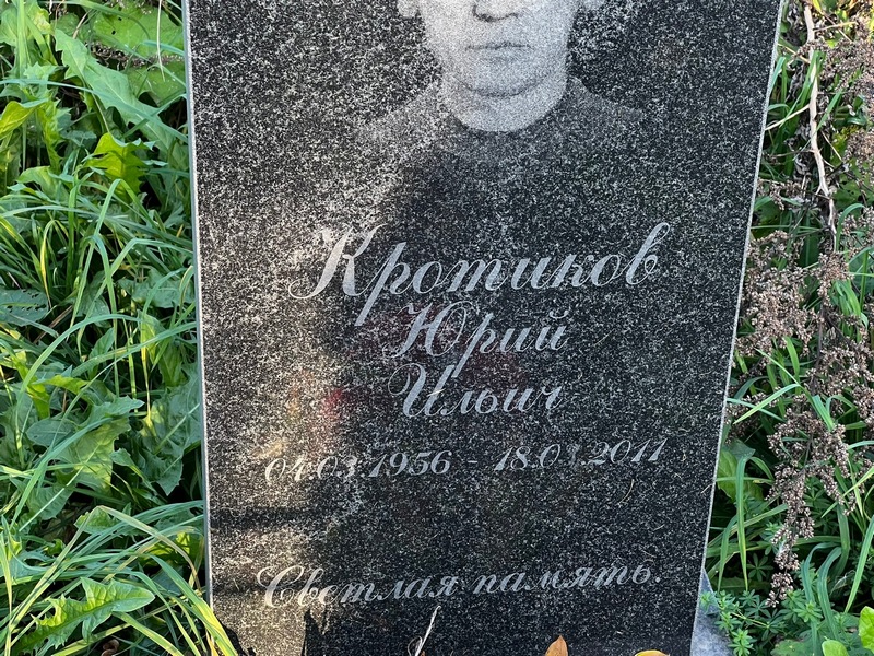 Кротиков