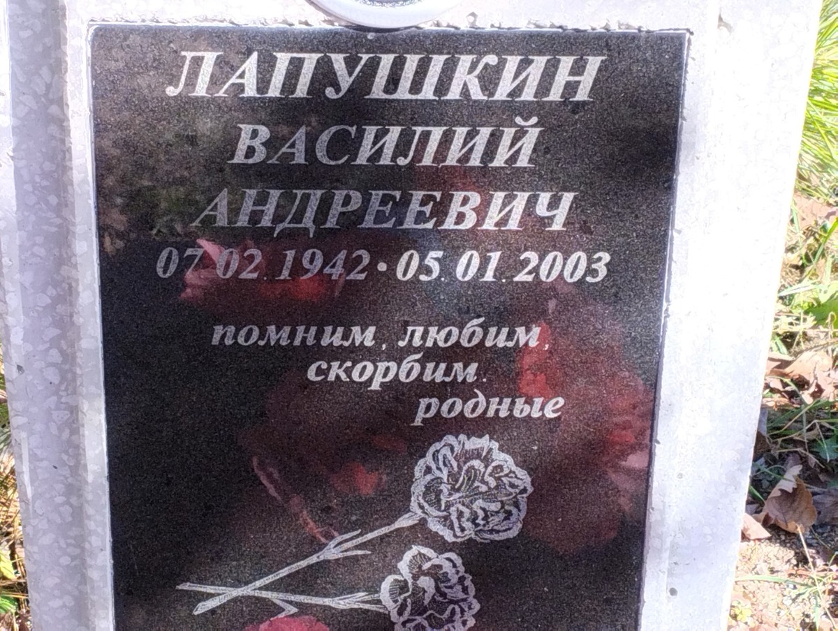 Лапушкин Василий Андреевич