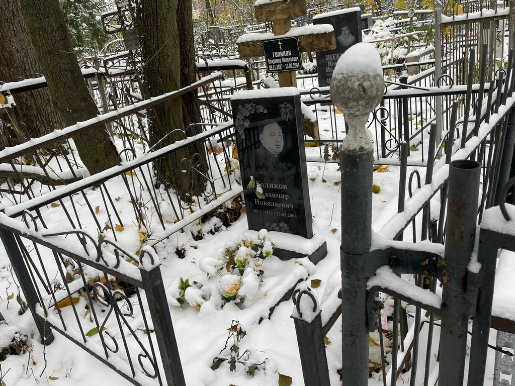 Голиков Владимир Николаевич