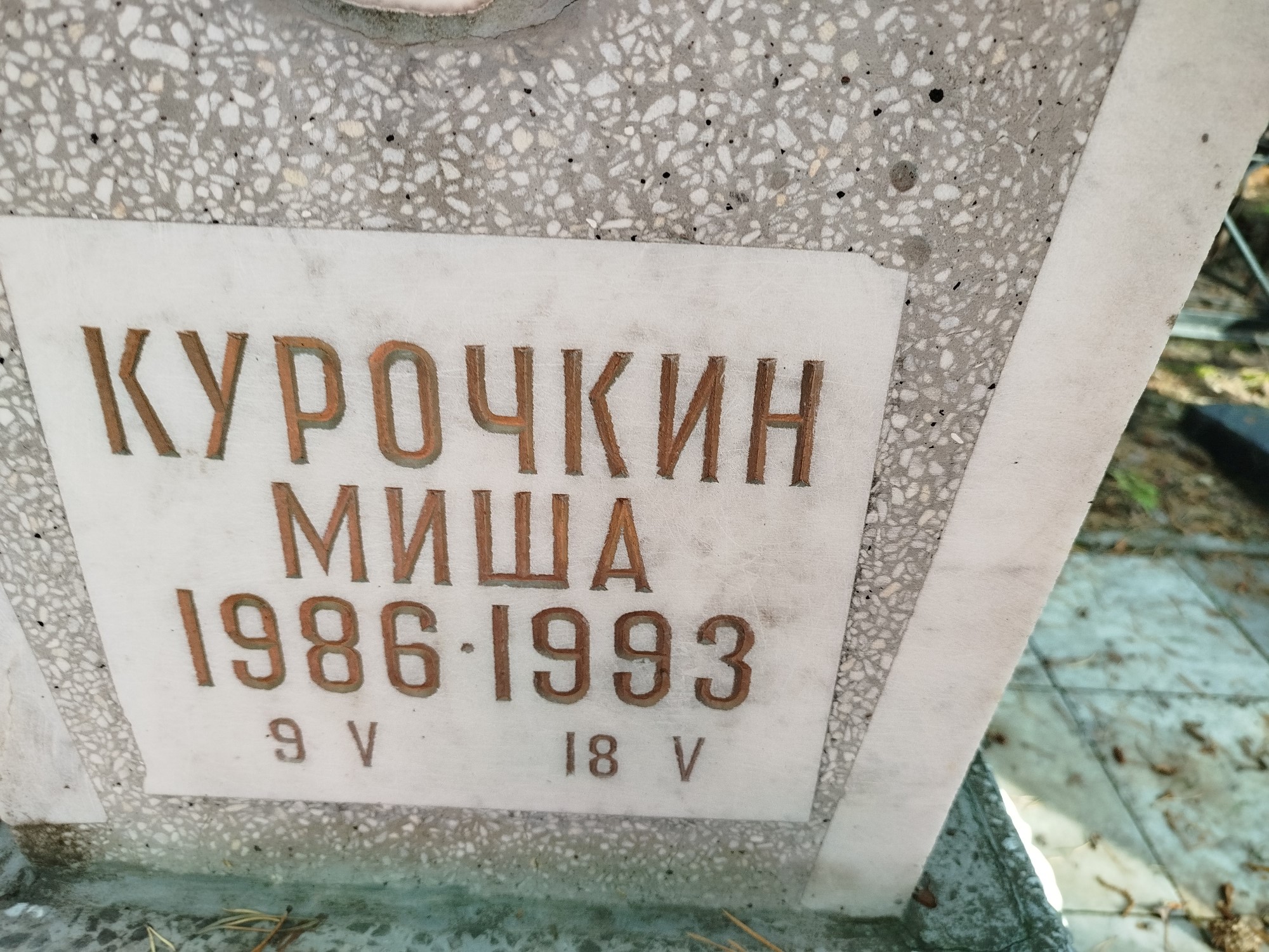 Курочкин Миша