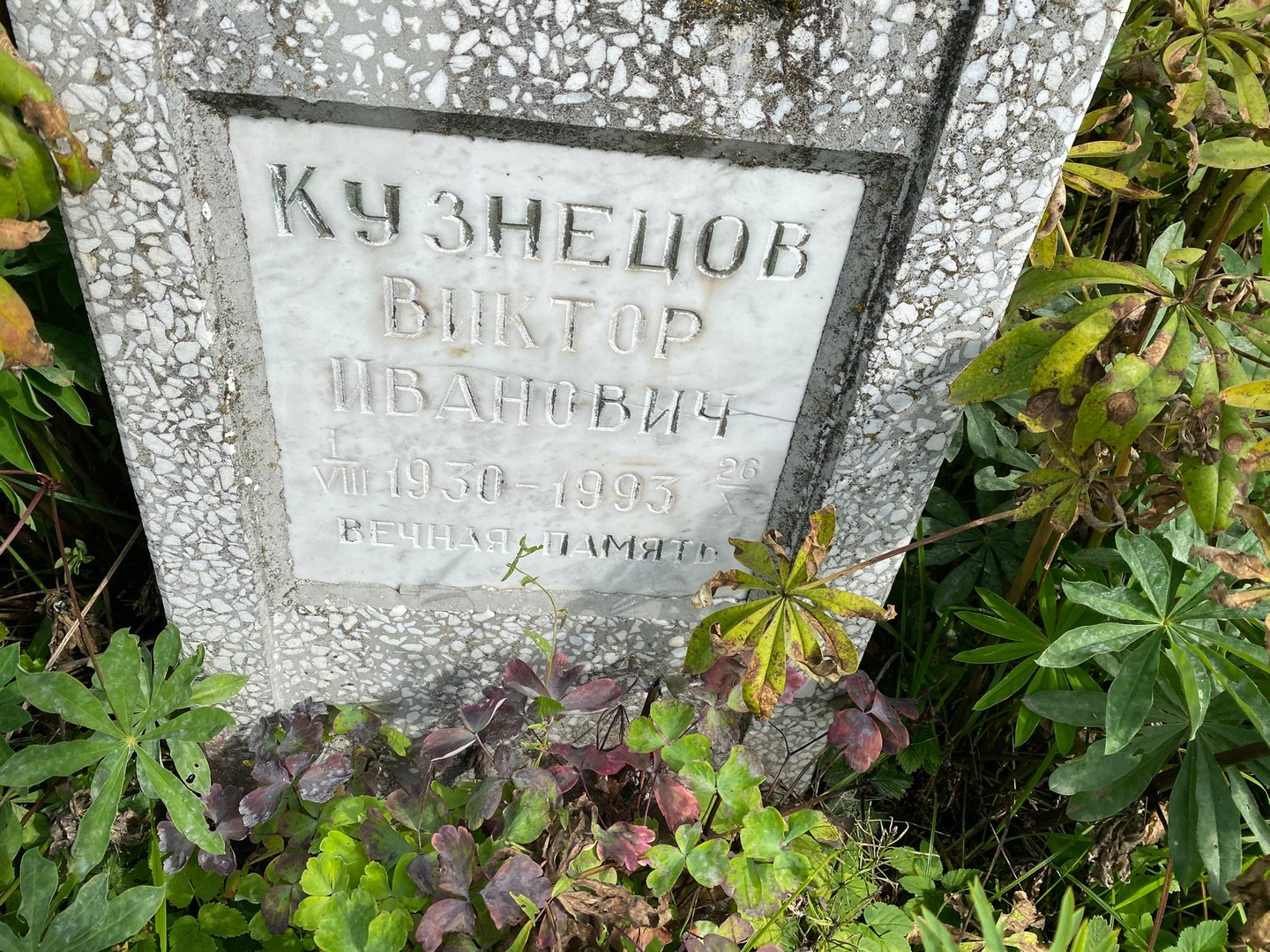 Кузнецов