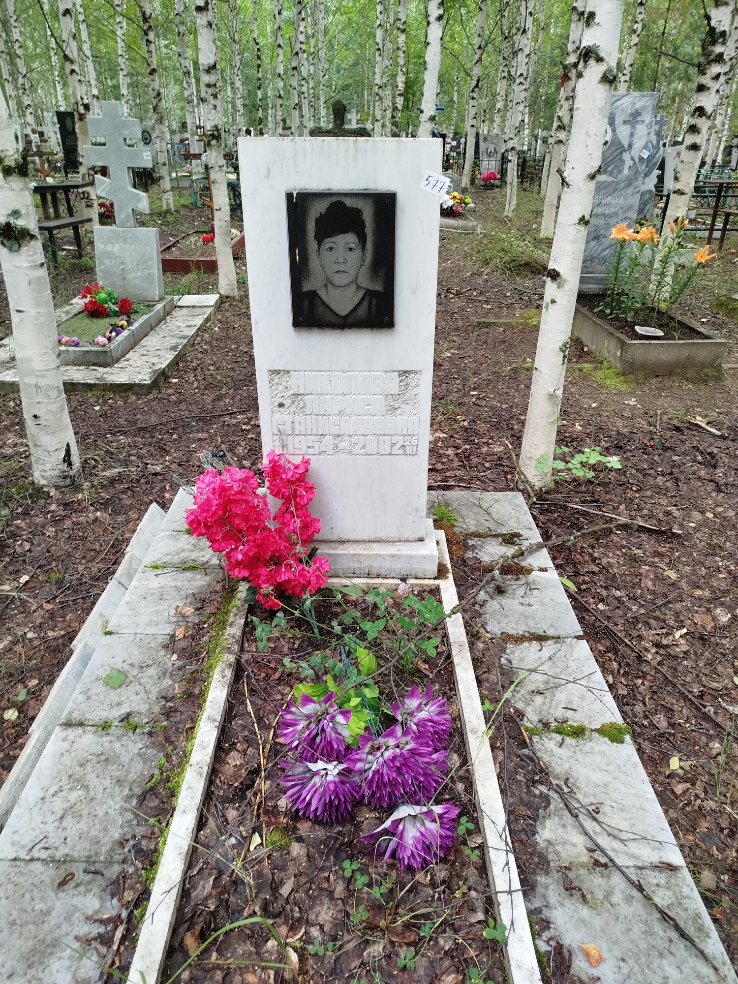 Николова Лариса Станиславовна