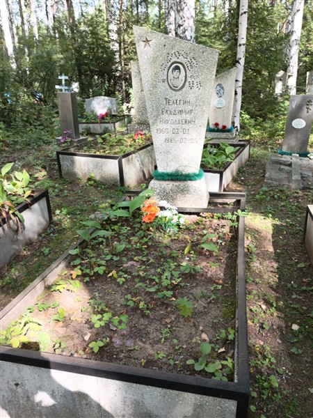 Телегин Владимир Николаевич