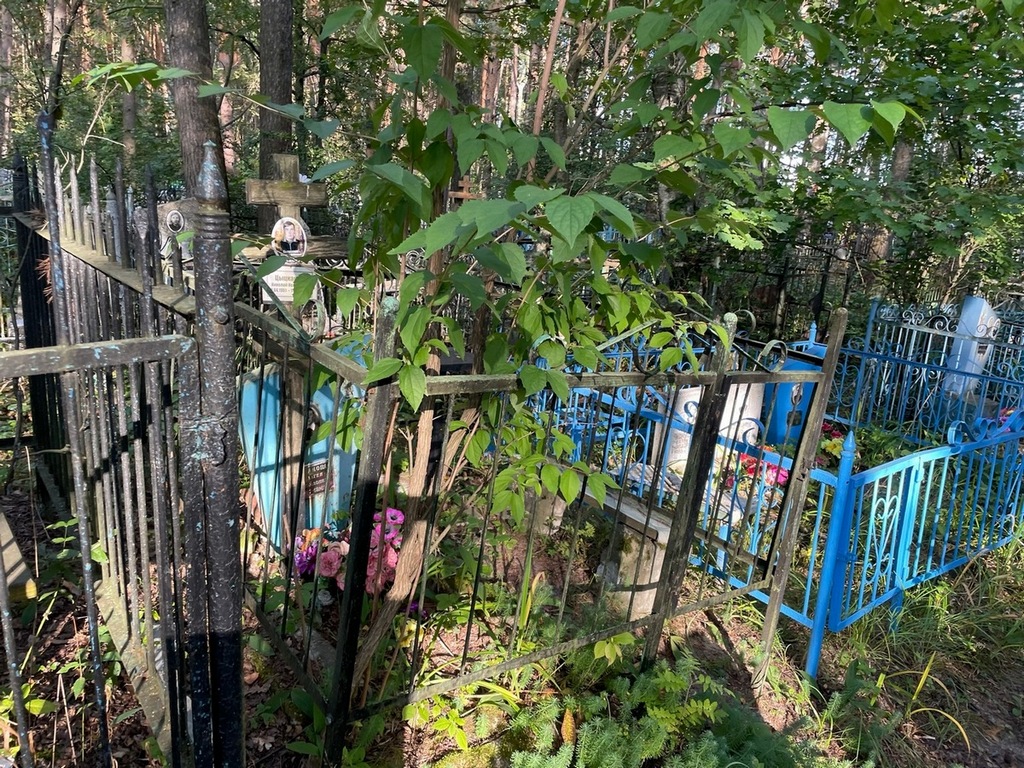 Цыцканов Николай Иванович