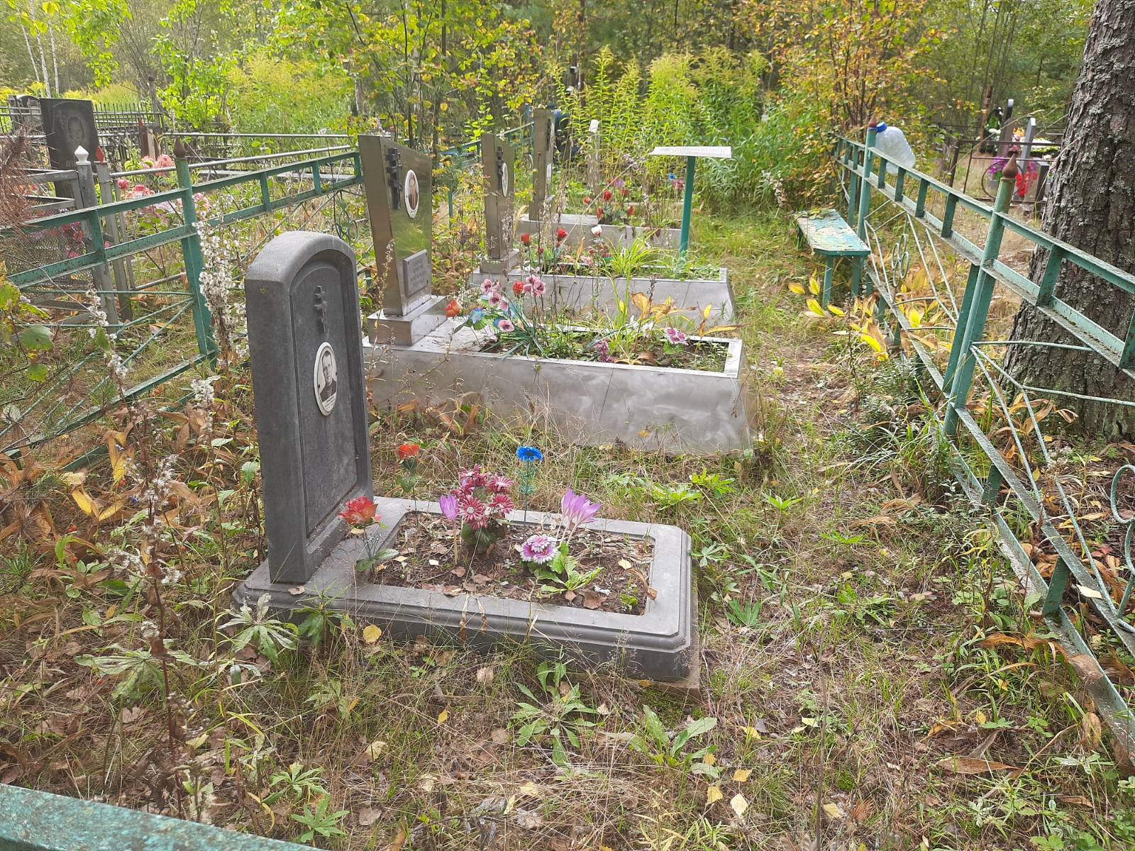 Докичев Дмитрий Анастасьевич