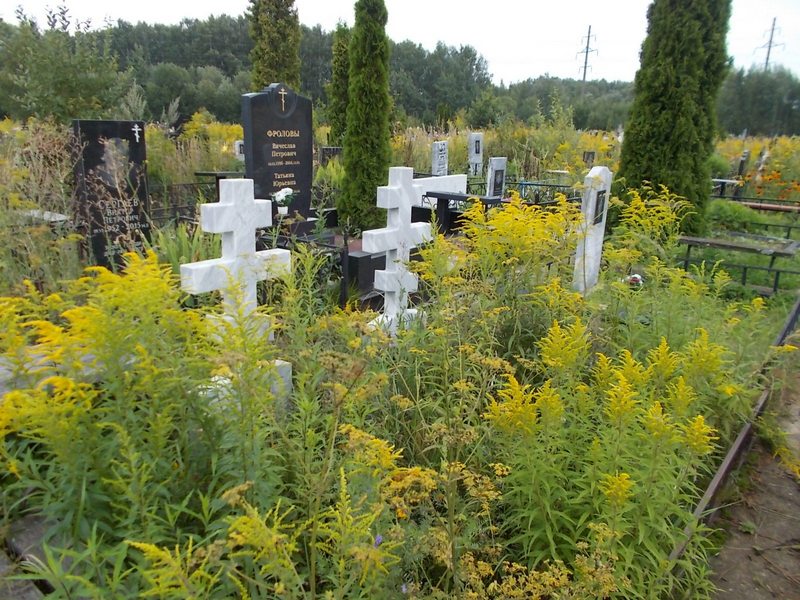 Гурылёв Борис Петрович