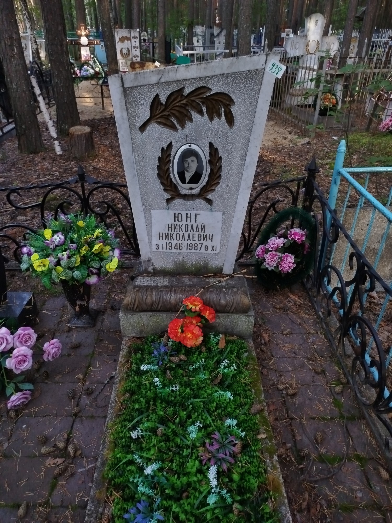 Юнг Николай Николаевич