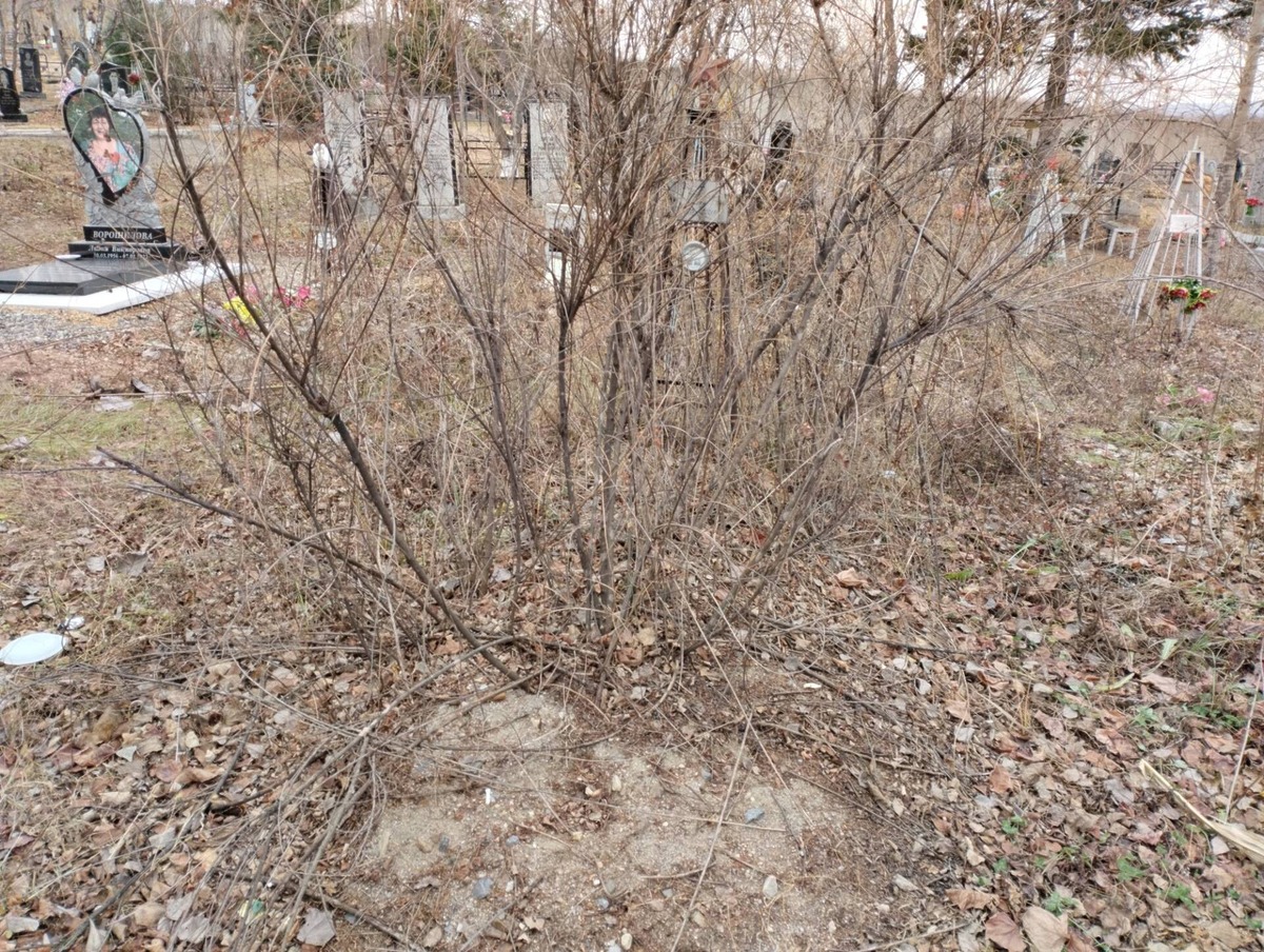 Филатов Павел Петрович