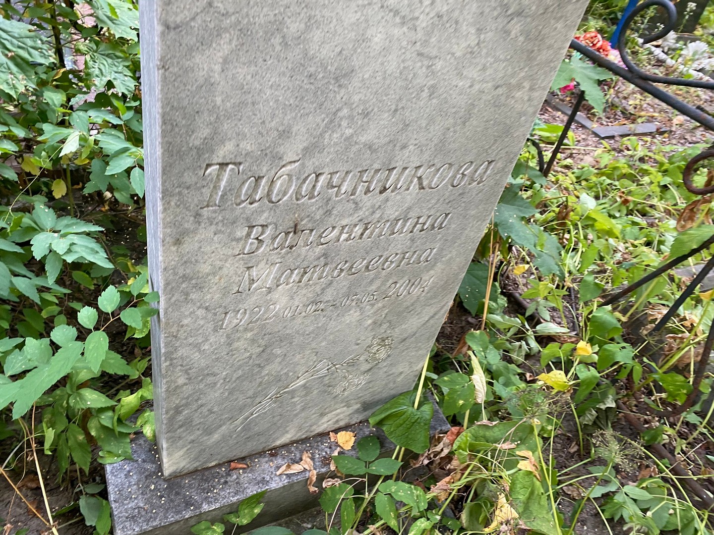 Табачникова