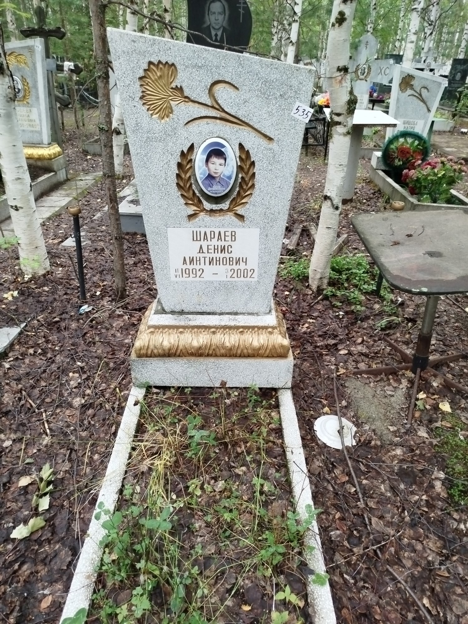 Шараев Денис Аинтинович