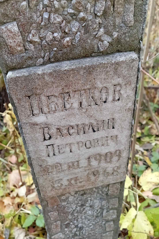 Цветков Василий Петрович