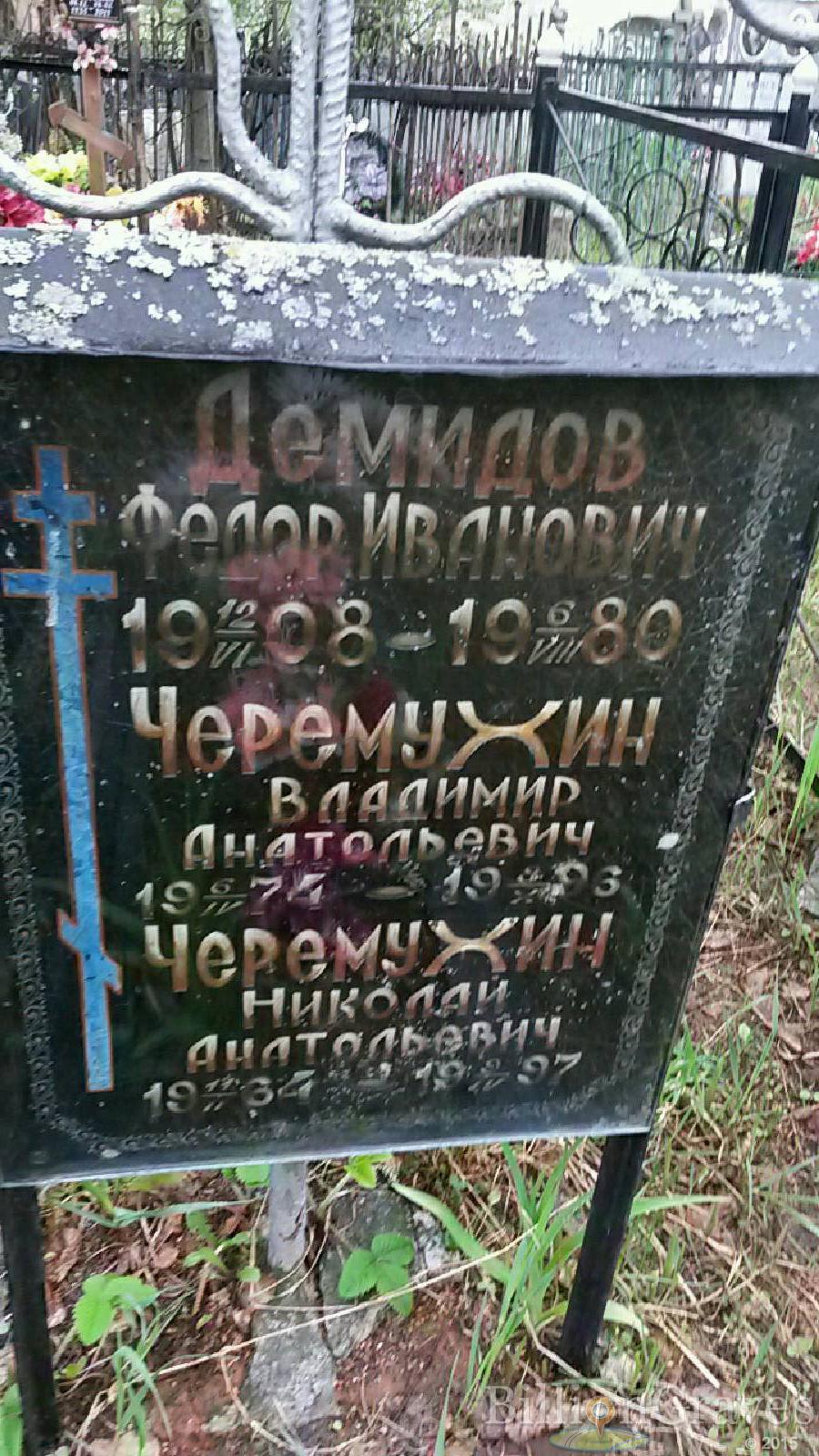 черемухин николай анатольевич