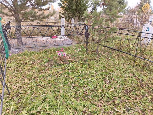 Егорова Евгения Вячеславовна