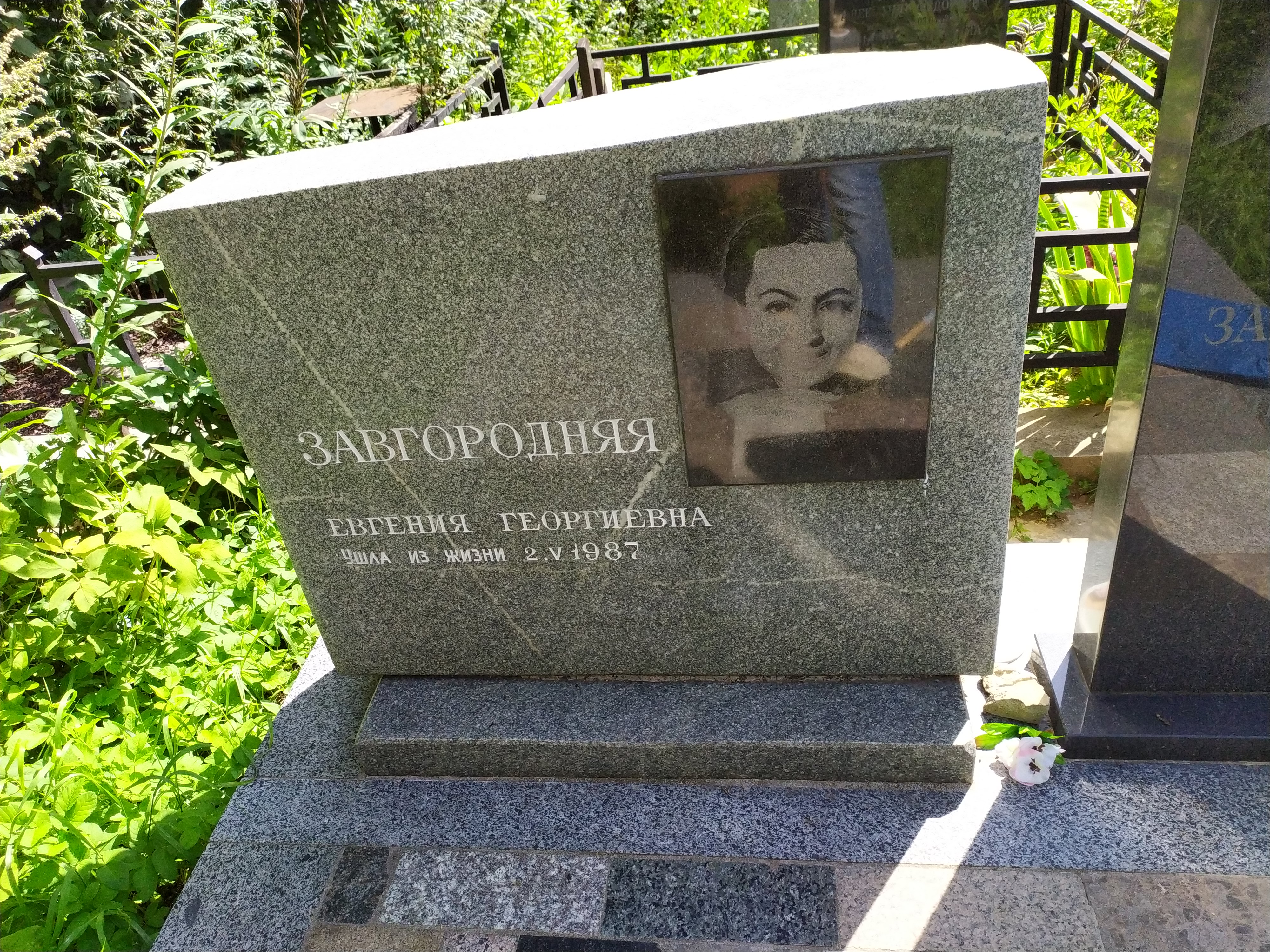Завгородняя Евгения Георгиевна