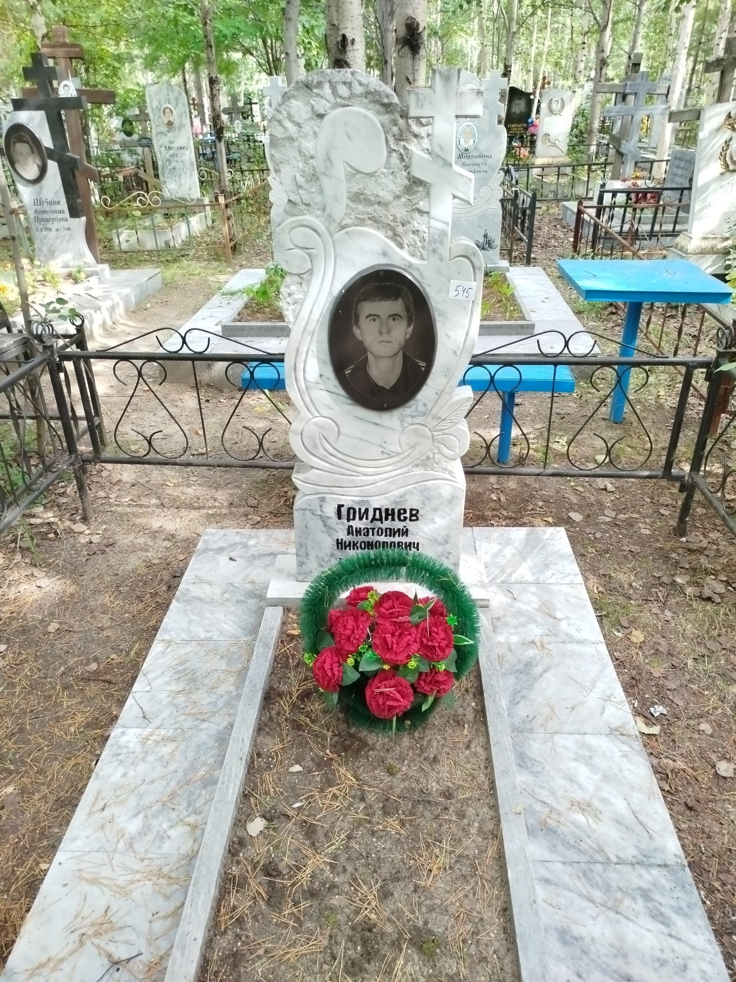 Гриднев Анатолий Никонорович