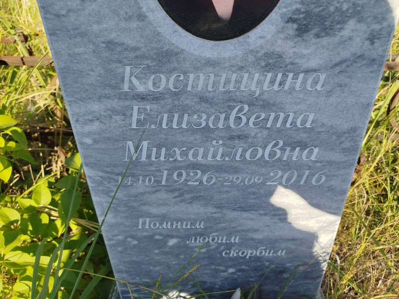 Костицина