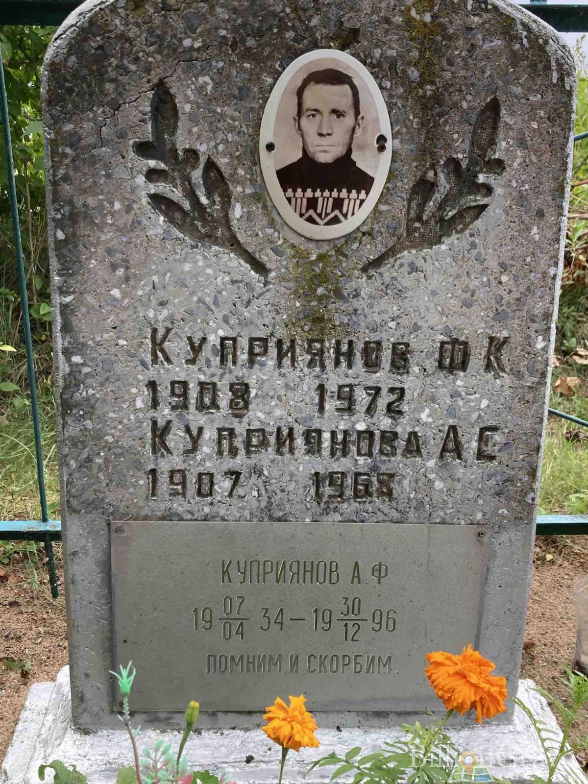 Куприянов А. Ф.