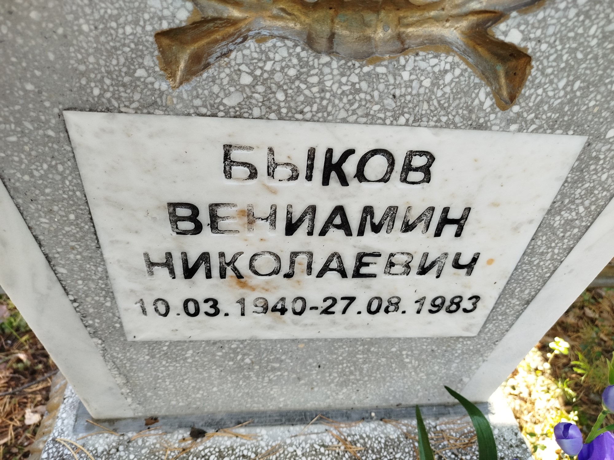 Быков Венимаин Николаевич