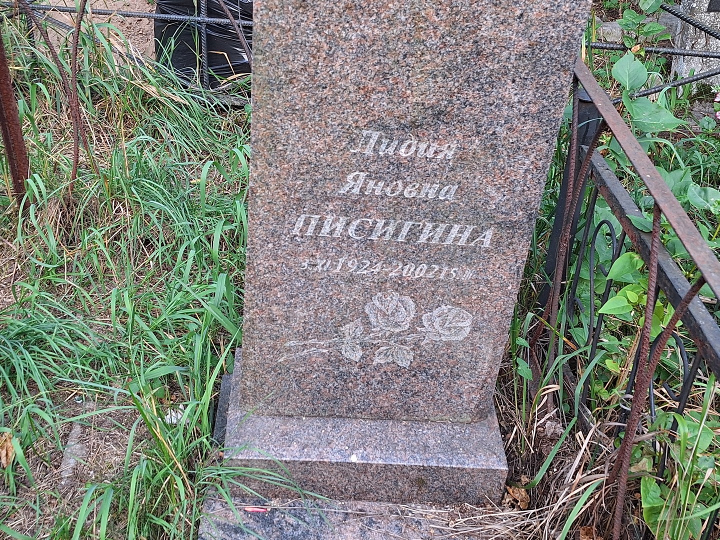 Писигина