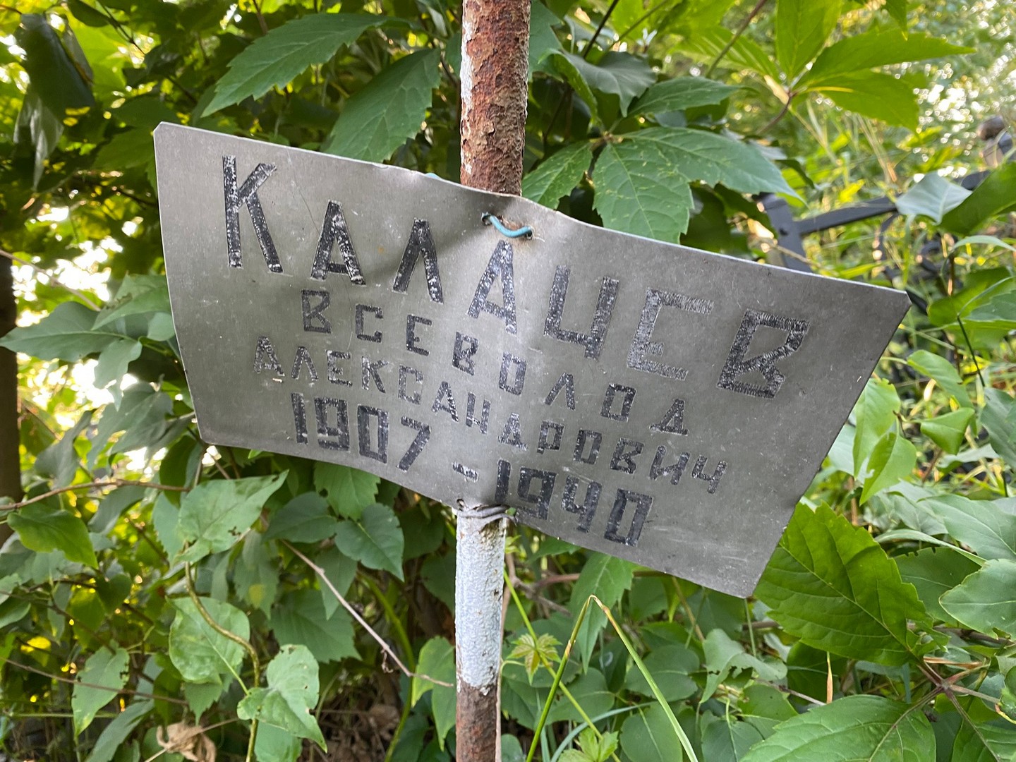Всеволод Калачев Александрович