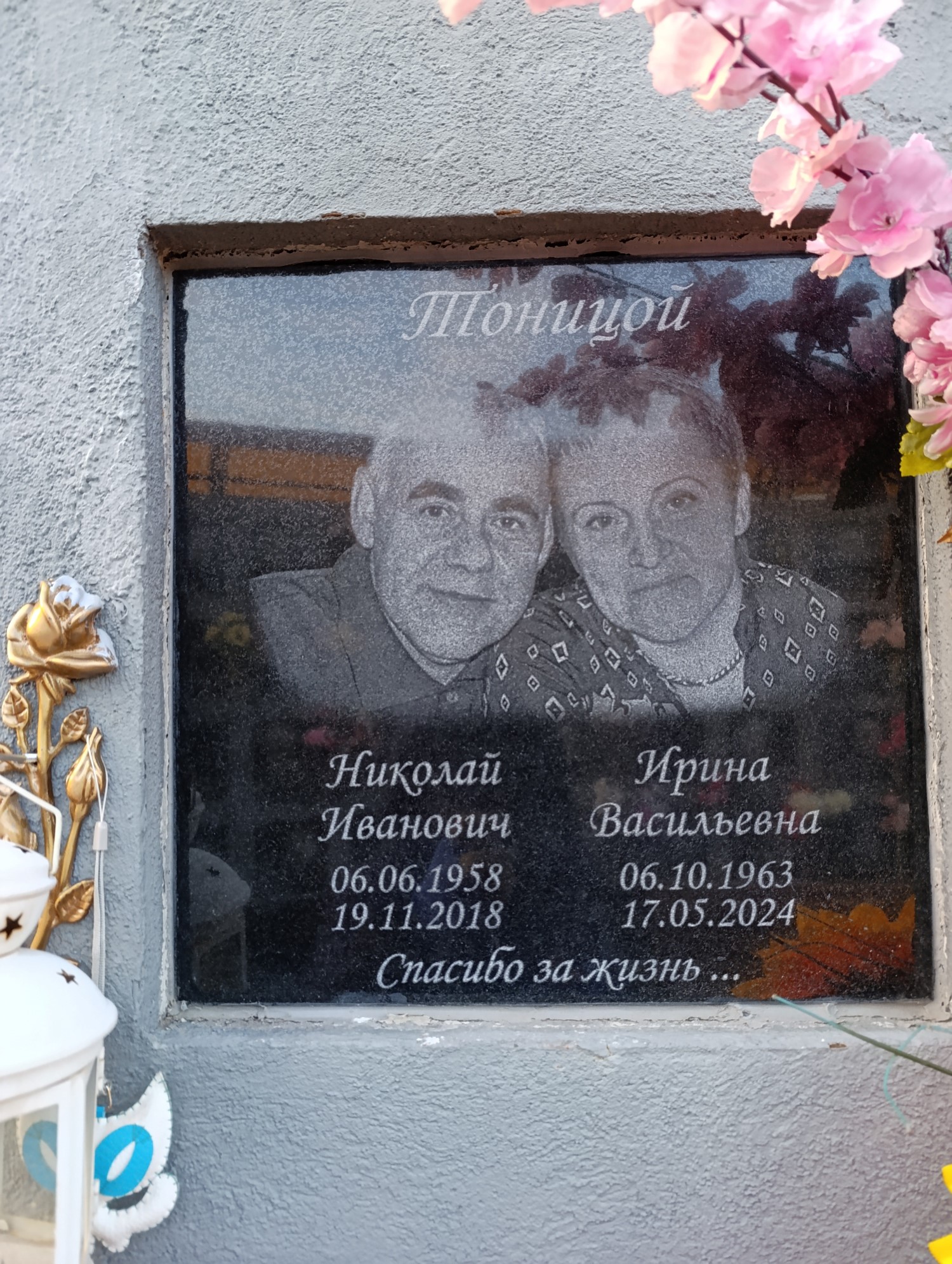Тоницой Ирина Васильевна