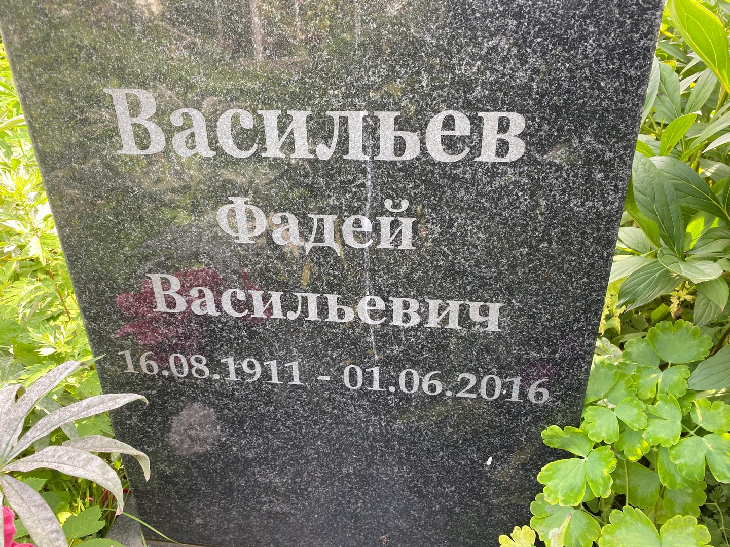 Фадей Васильев Васильевич