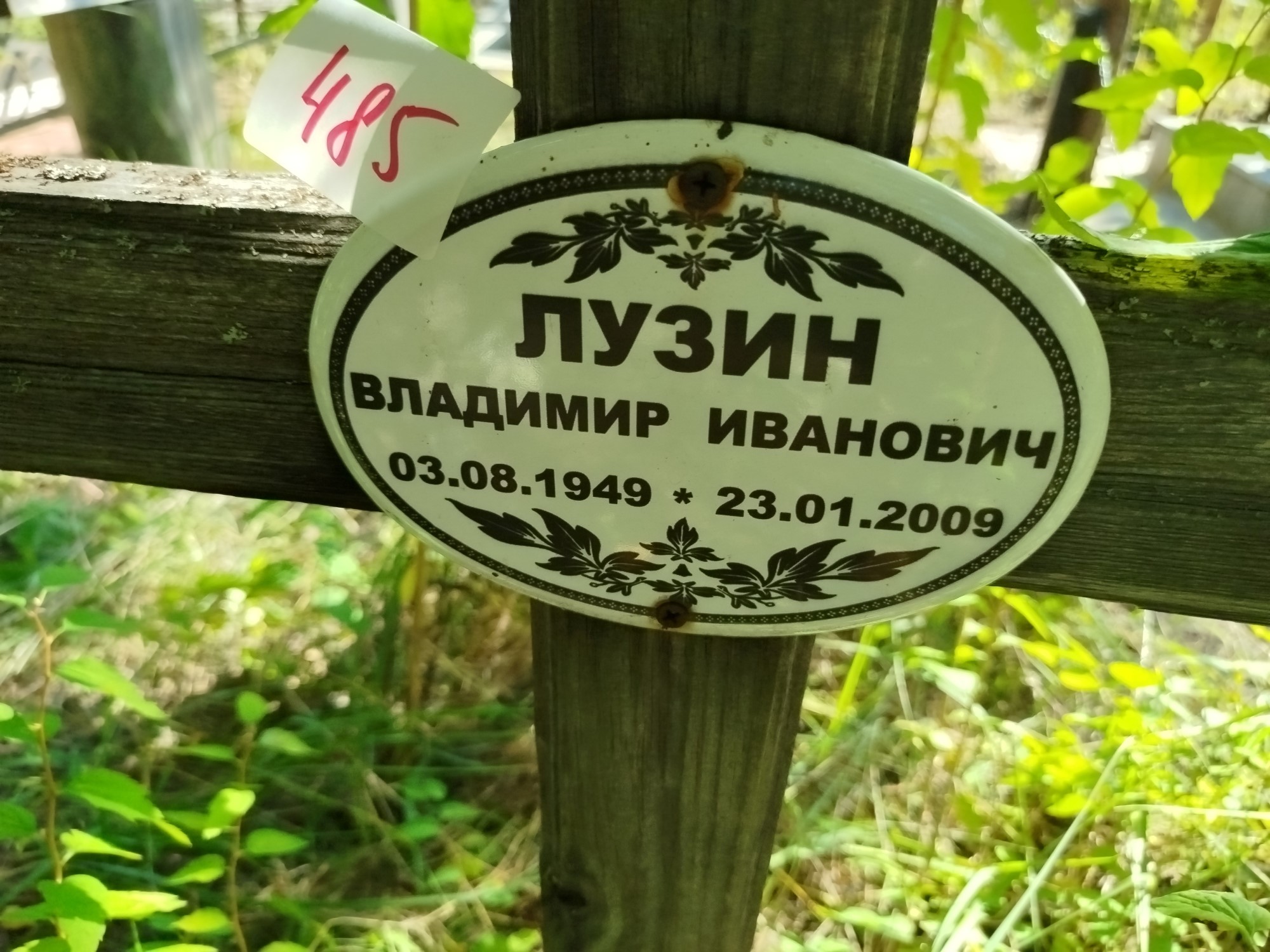 Лузин Владимир Иванович