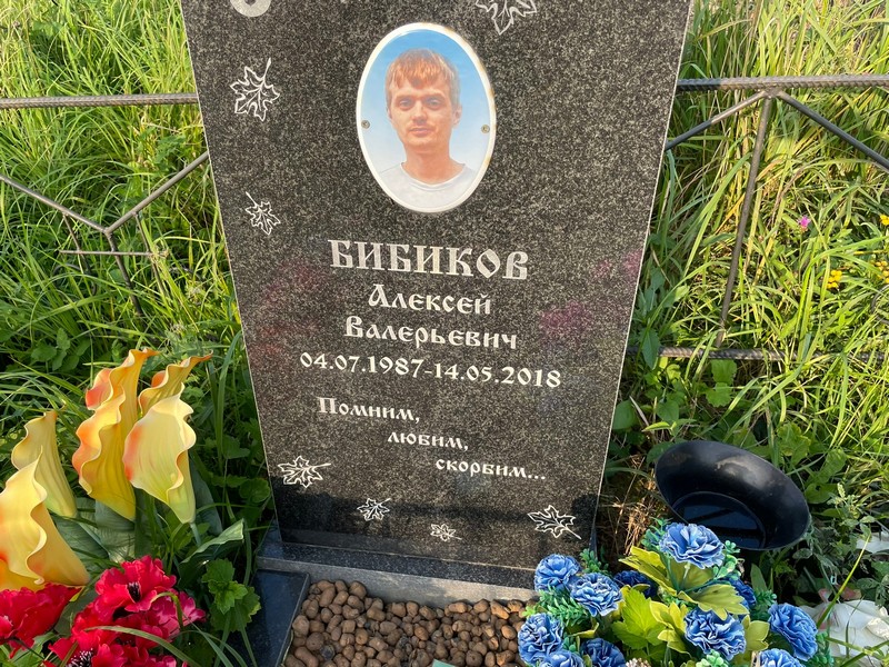 Бибиков