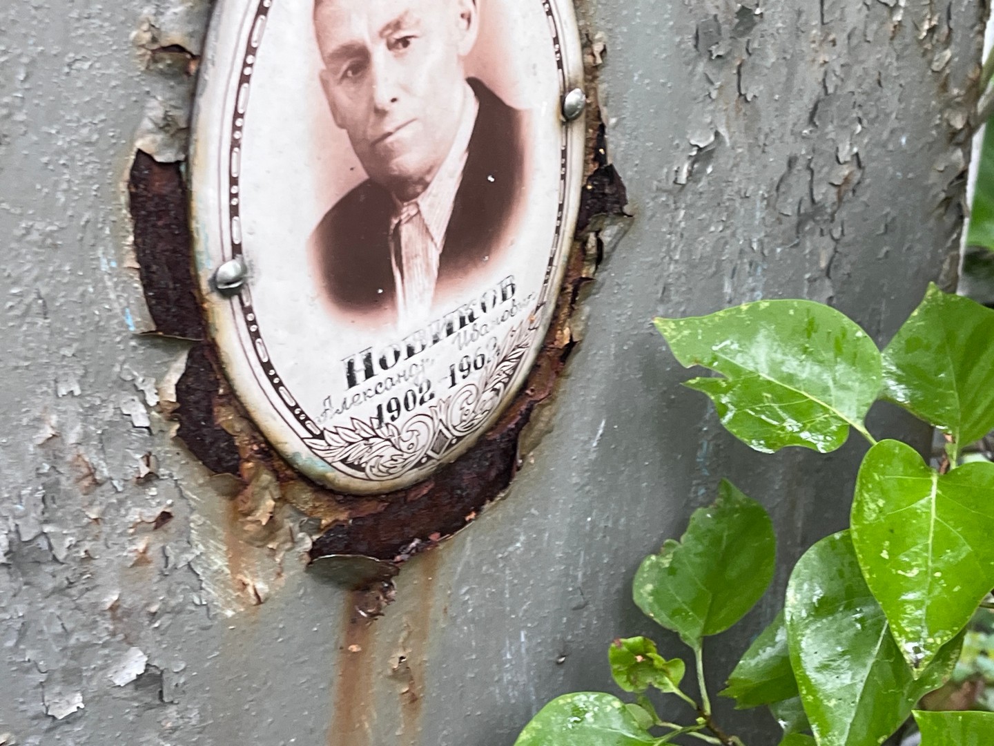 Новиков