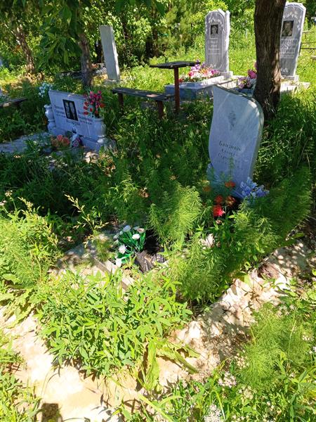Близнюк Алексей Сергеевич