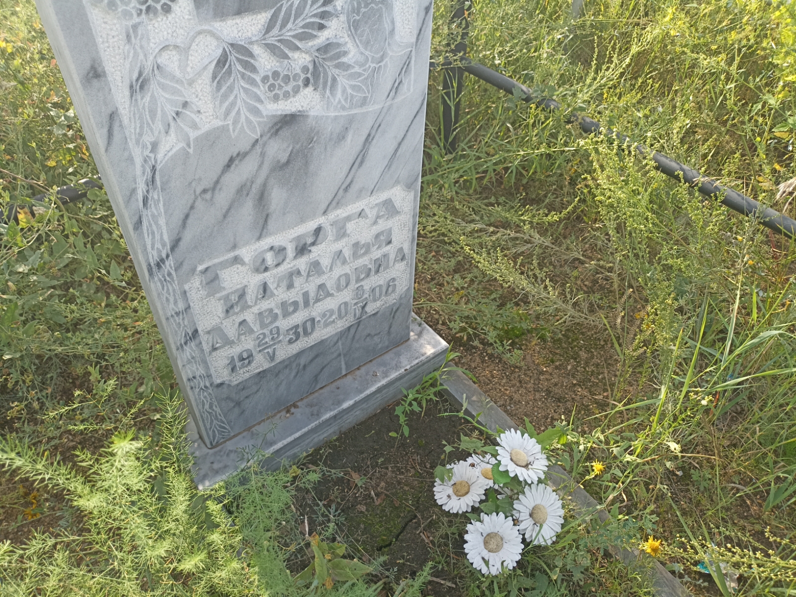 Горга Наталья Давыдовна