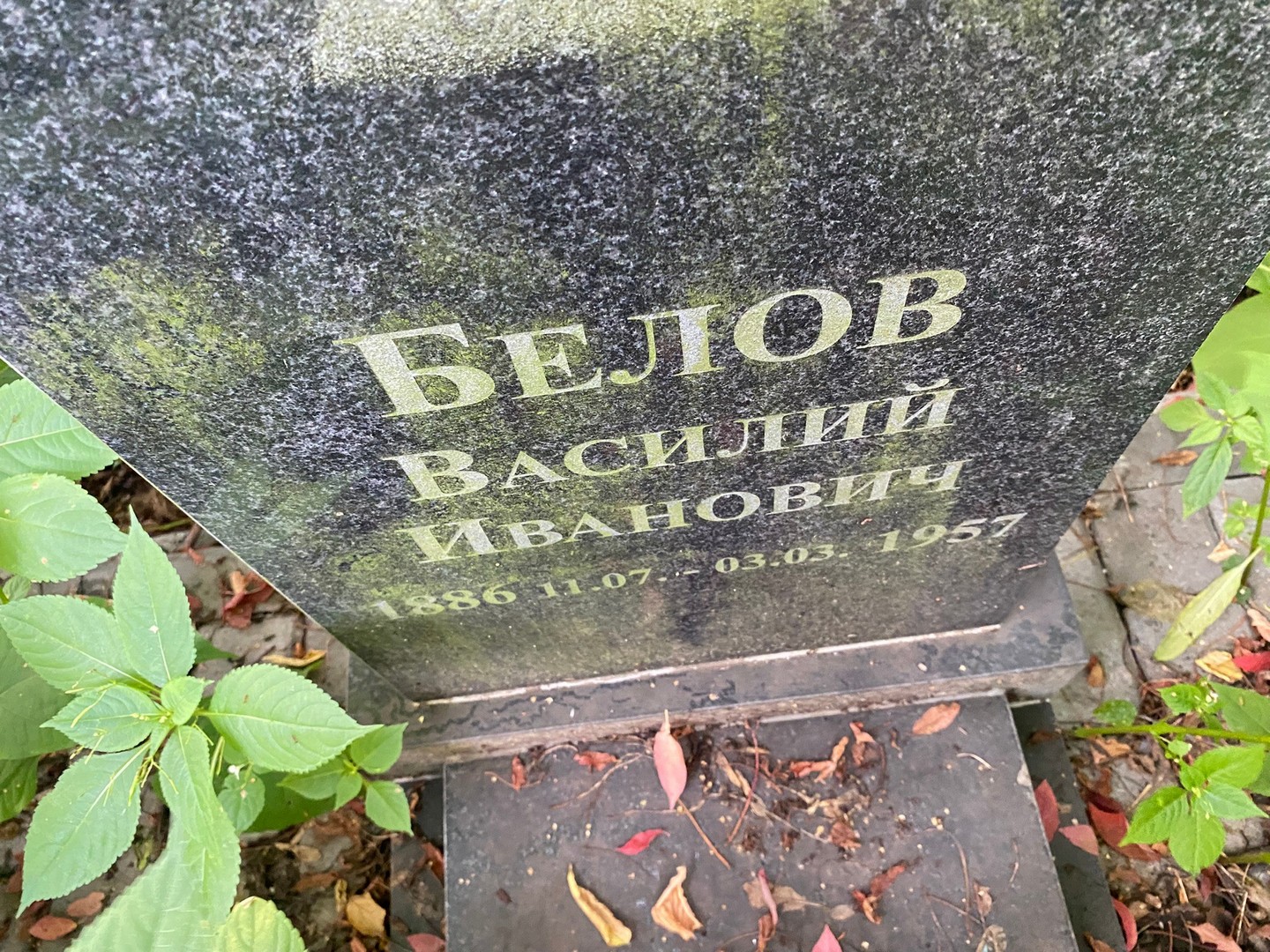 Белов