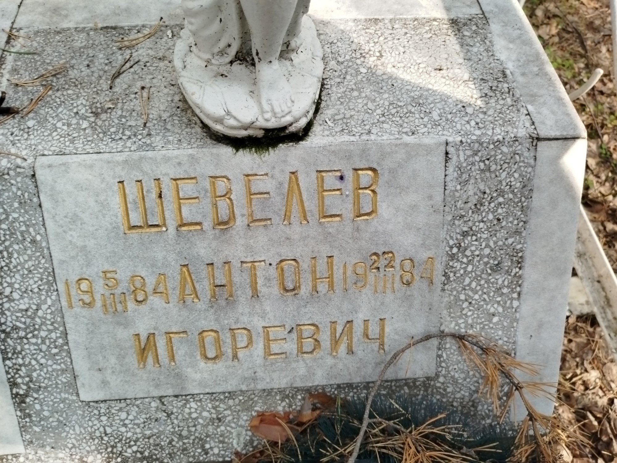 Шевелев Антон Игоревич
