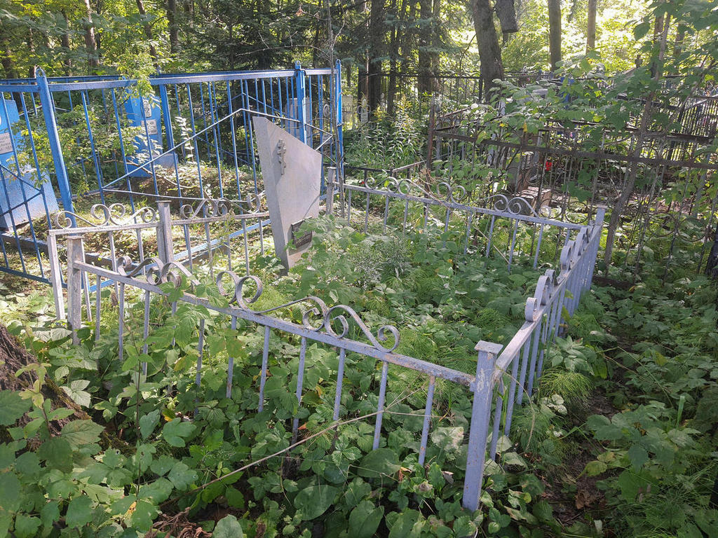 Новогородова Елена Александровна