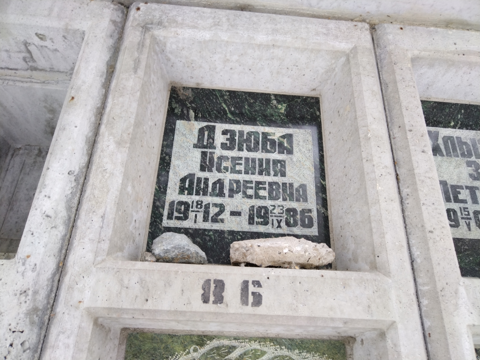 Дзюба Ксения Андреевна