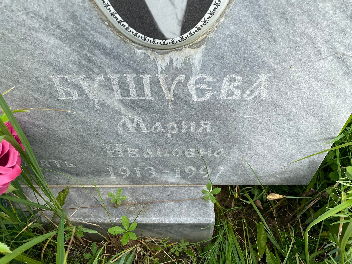 Бушева