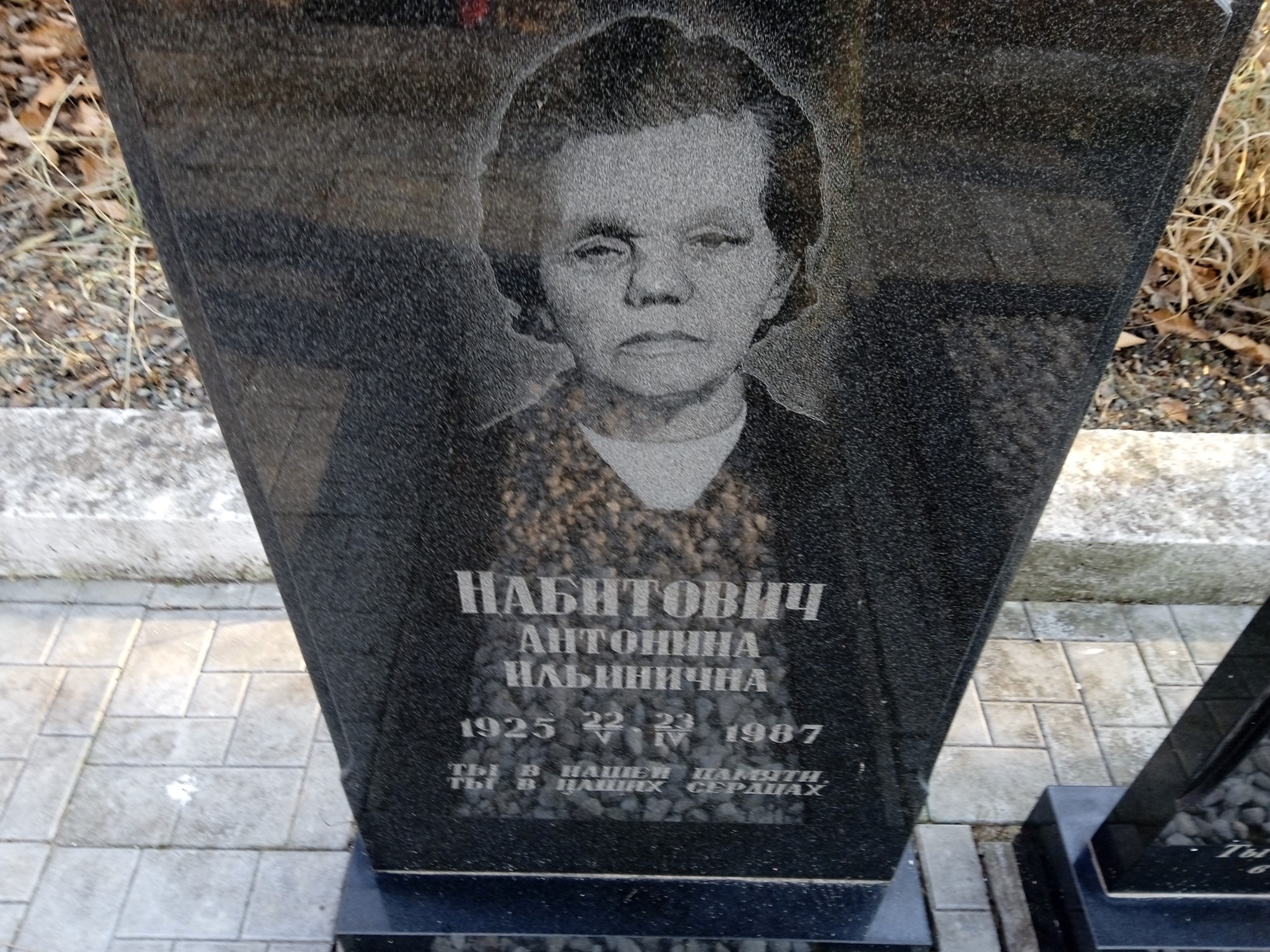 Набитович Антонина Ильинична