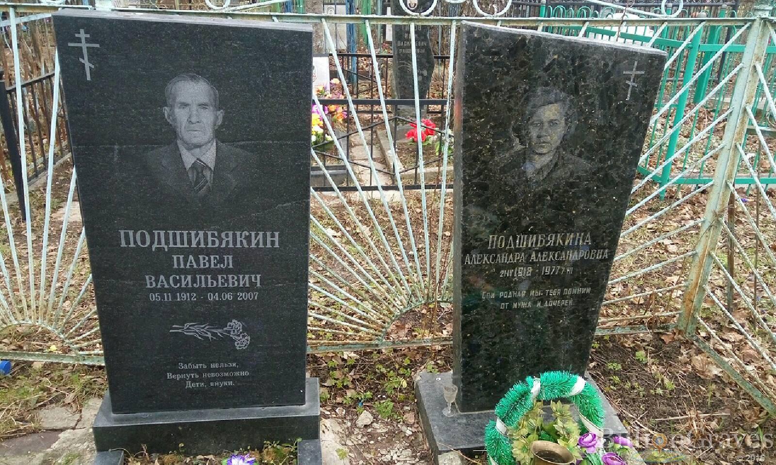подшибякина александра александровна