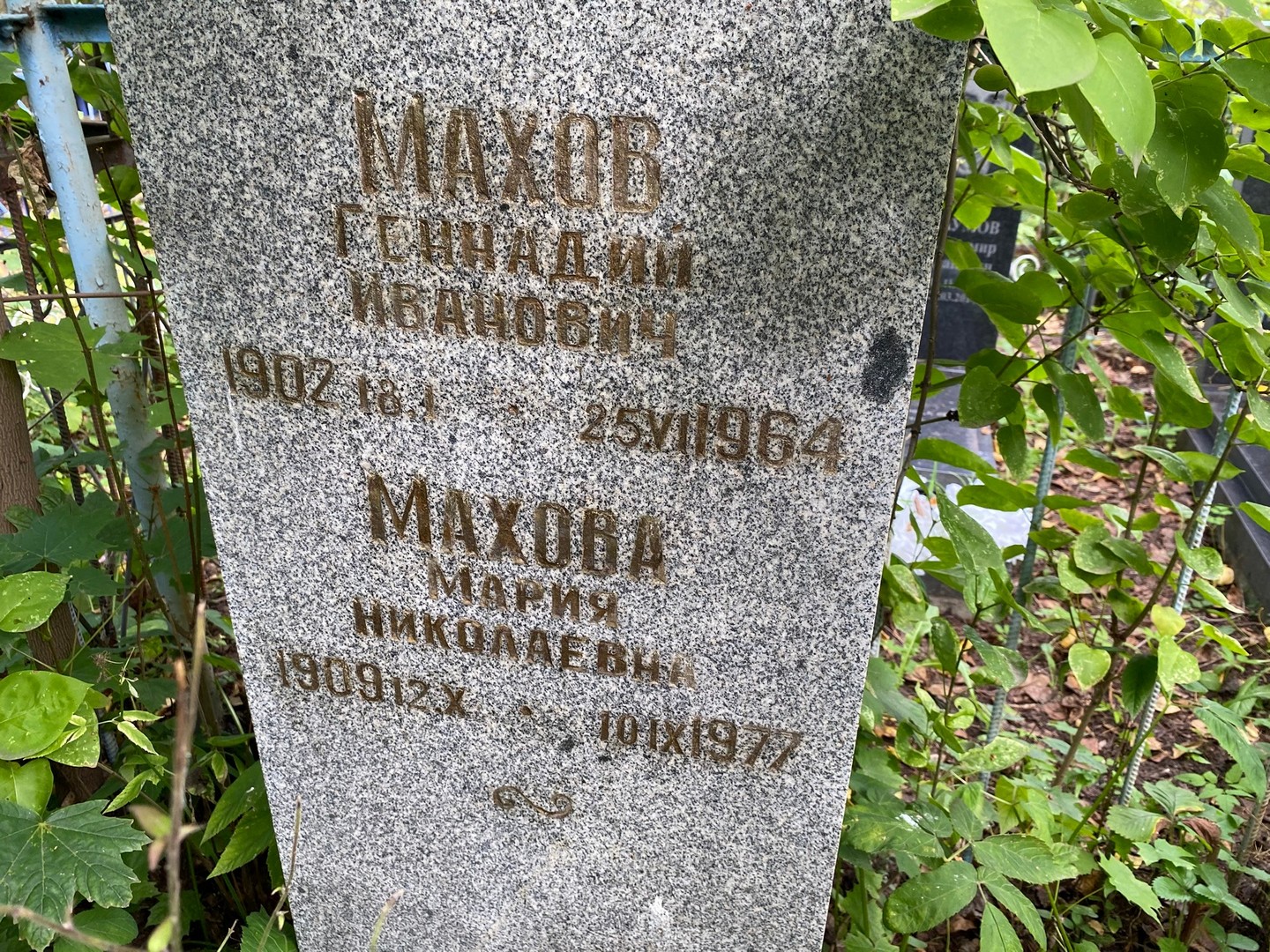Махов