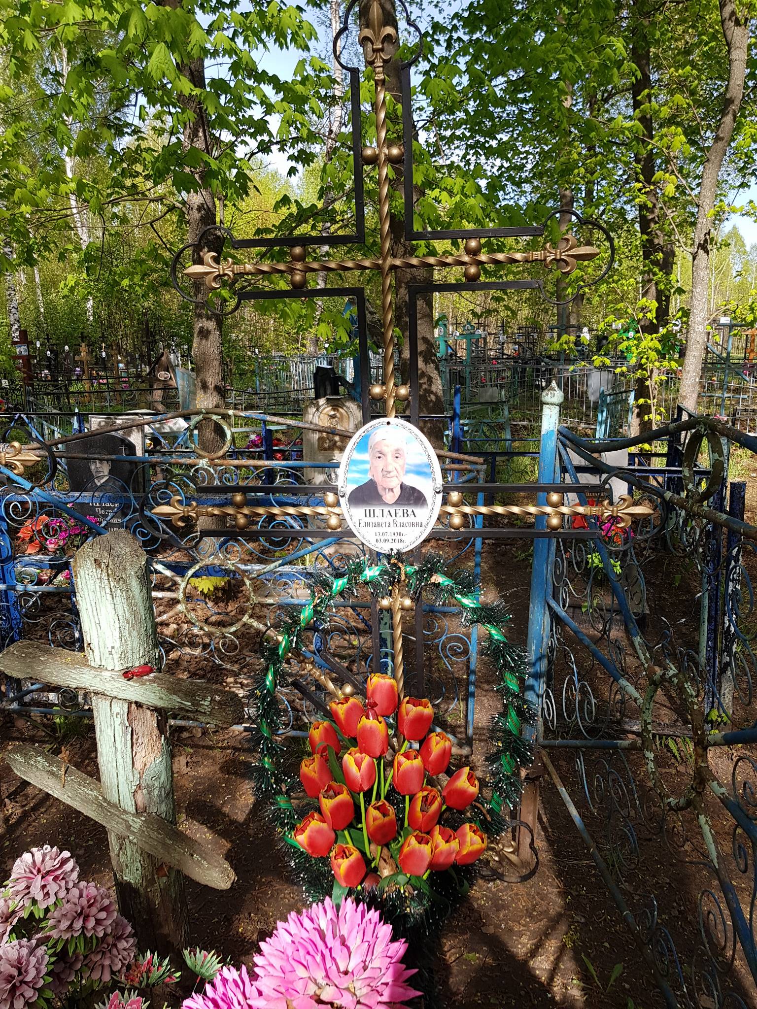 Шлаева Елизавета Власовна