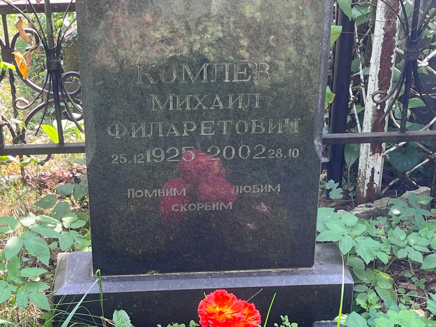 Комлев