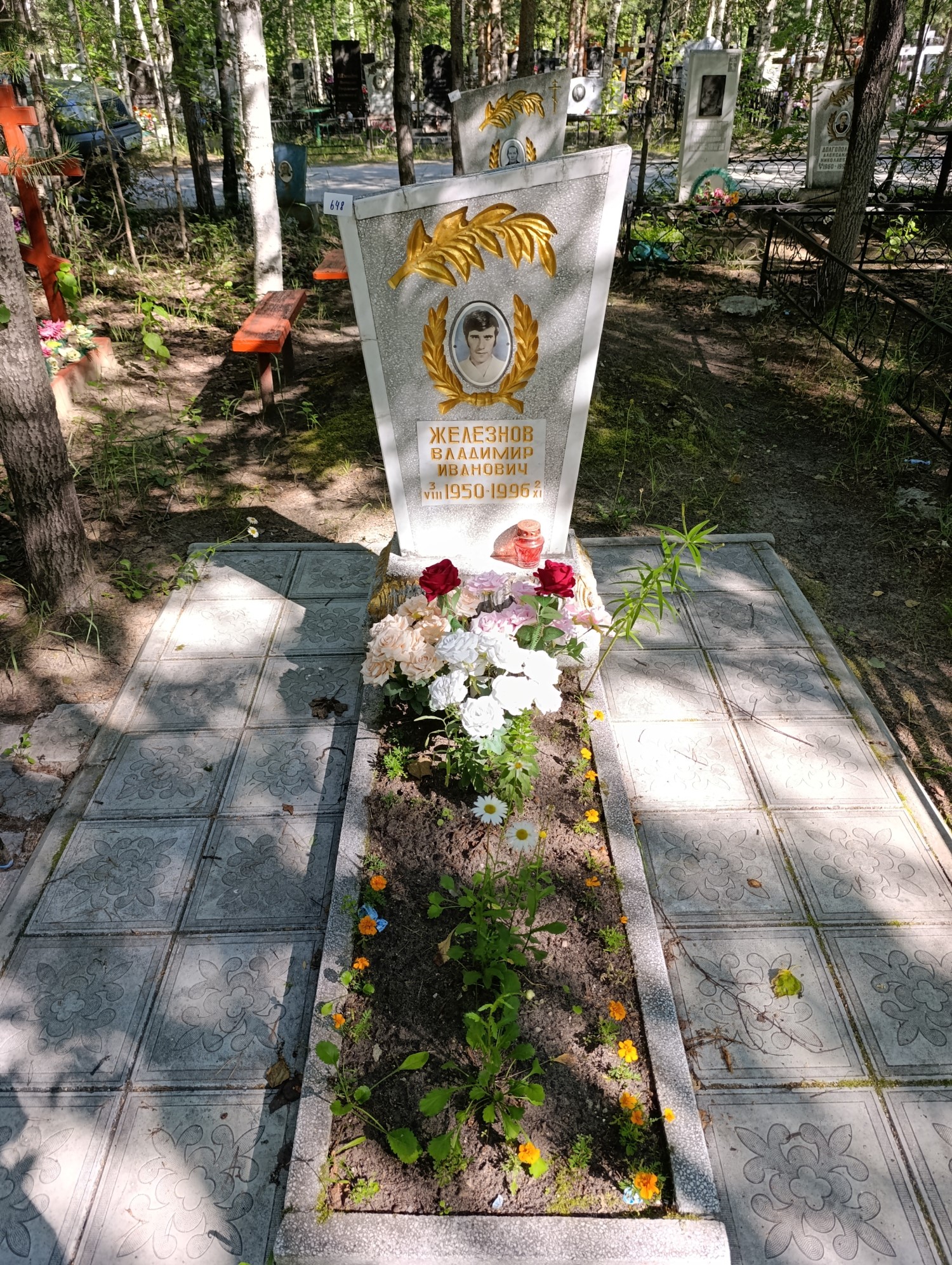 Железнов Владимир Иванович