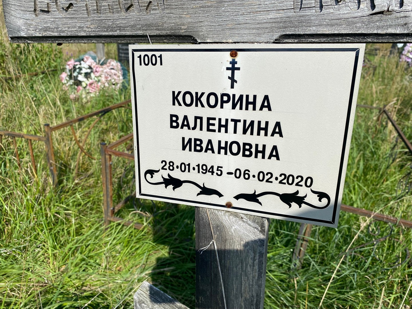 Кокорина